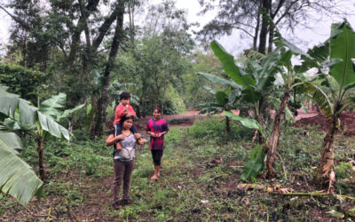 Com roças orgânicas, povo Avá-Guarani resiste à monocultura da soja no Paraná