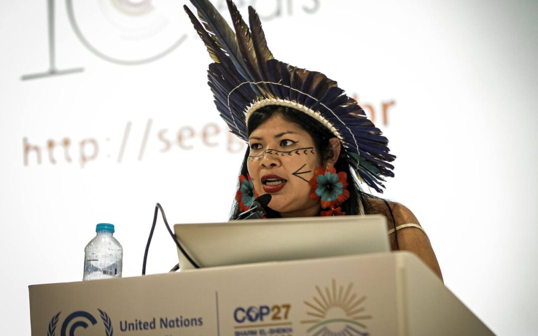 Povo Guarani leva Mata Atlântica para a COP27