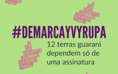 Manifesto #DemarcaYvyrupa: Pela demarcação das terras guarani na Mata Atlântica