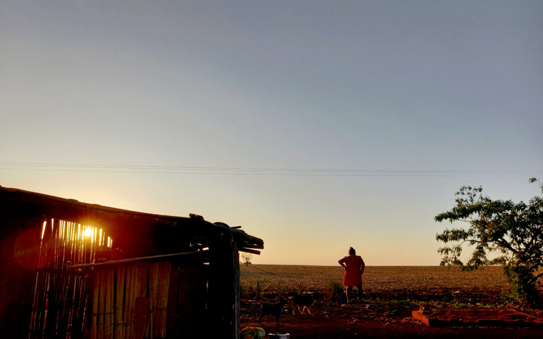 Lançamento: Soja, milho e pecuária dominam 60% de território do povo Avá-Guarani (PR), revela estudo