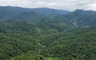 Nota técnica da CGY analisa ameaças à proteção da Mata Atlântica contidas em projeto de lei no Congresso Nacional