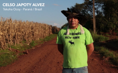 Ava Guarani and soy plantations in west Paraná – Brazil (VÍDEO)