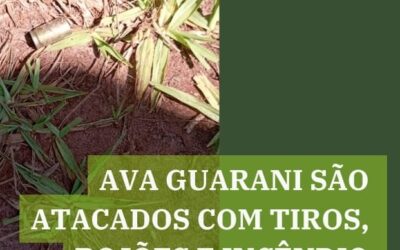 Ava Guarani são atacados com tiros, rojões e incêndio na véspera de Natal, no oeste do Paraná