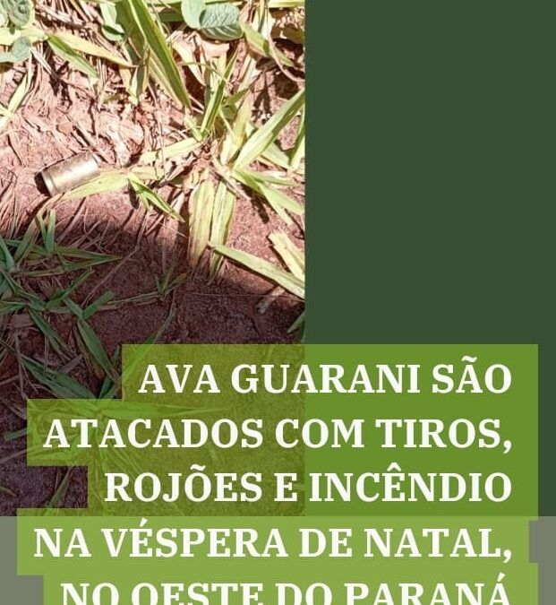 Ava Guarani são atacados com tiros, rojões e incêndio na véspera de Natal, no oeste do Paraná