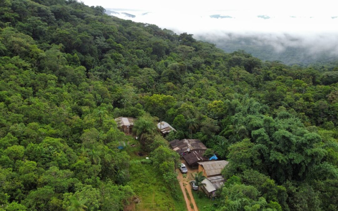 Comunidade guarani da TI Kuaray Haxa recebe apoio de organizações científicas e socioambientais 
