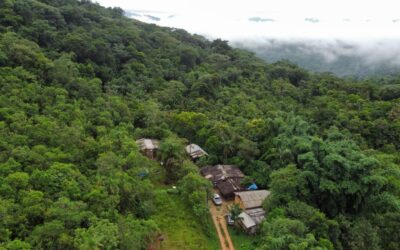 Comunidade guarani da TI Kuaray Haxa recebe apoio de organizações científicas e socioambientais 
